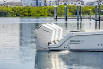 Thumbnail von Boston Whaler 405 Conquest