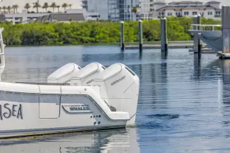 Thumbnail von Boston Whaler 405 Conquest