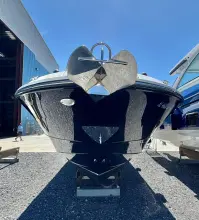 Thumbnail von Sea Ray SLX 310