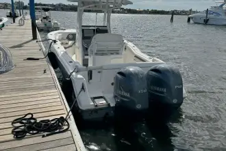 Thumbnail von Tidewater Boats 252 LXF