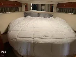 Thumbnail von Sea Ray 510 Sundancer