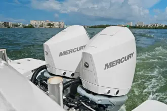 Thumbnail von Boston Whaler 320 Vantage