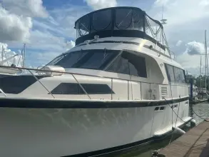 Thumbnail von Ocean Yachts 53 Motor Yacht Ocean Odyssey