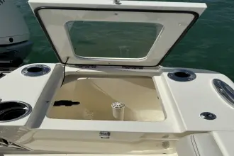 Thumbnail von Scout 240 XSF