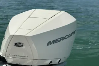 Thumbnail von Scout 240 XSF