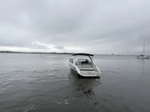 Thumbnail von Sea Ray SDX 270 Surf