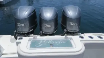 Thumbnail von Yellowfin 36