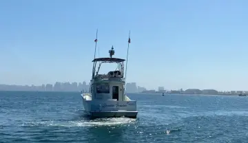 Thumbnail von Rodman 1250 FP