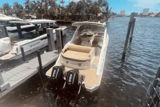 Thumbnail von Sea Ray SLX 310 Dıştan Takma