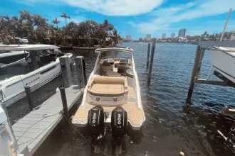 Thumbnail von Sea Ray SLX 310 Dıştan Takma