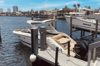 Thumbnail von Sea Ray SLX 310 Dıştan Takma