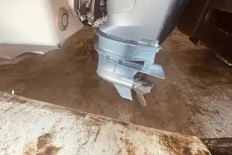 Thumbnail von Sea Ray SLX 310 Dıştan Takma