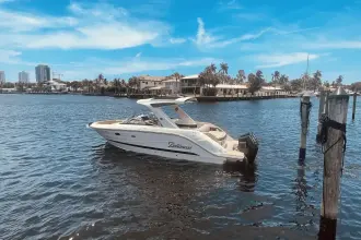 Thumbnail von Sea Ray SLX 310 Dıştan Takma