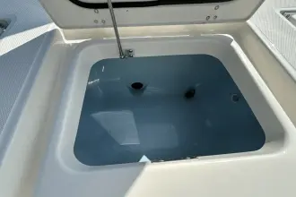 Thumbnail von Boston Whaler 250 Dauntless