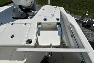 Thumbnail von Boston Whaler 250 Dauntless