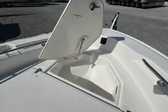 Thumbnail von Boston Whaler 250 Dauntless