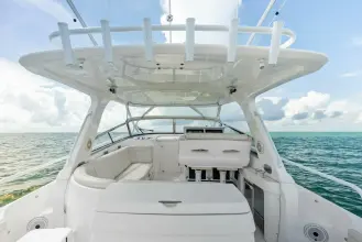 Thumbnail von Intrepid 430 Sport Yacht Virgo