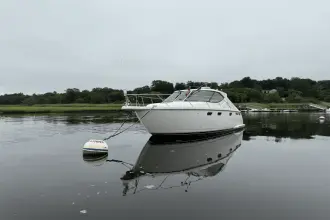 Thumbnail von Tiara Yachts 3500 Sovran