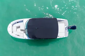 Thumbnail von Sea Ray SDX 250 Hors-bord