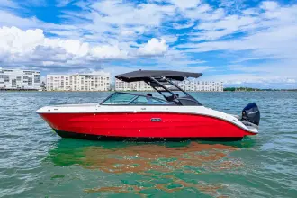 Thumbnail von Sea Ray SDX 250 Hors-bord