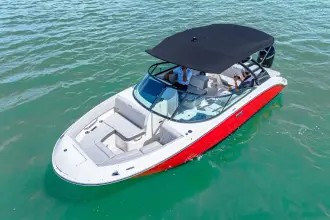 Thumbnail von Sea Ray SDX 250 Hors-bord