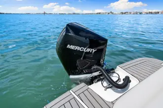 Thumbnail von Sea Ray SDX 250 Hors-bord