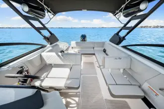 Thumbnail von Sea Ray SDX 250 Hors-bord