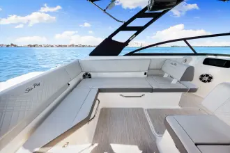 Thumbnail von Sea Ray SDX 250 Hors-bord