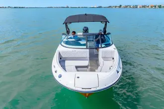 Thumbnail von Sea Ray SDX 250 Hors-bord