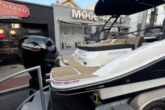 Thumbnail von Sea Ray SPX 190 Outboard