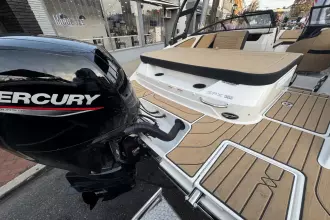 Thumbnail von Sea Ray SPX 190 Outboard