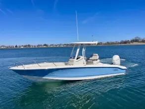 Thumbnail von Boston Whaler 250 Dauntless