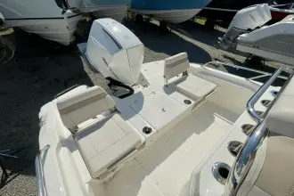 Thumbnail von Boston Whaler 250 Dauntless