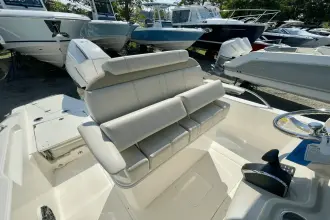 Thumbnail von Boston Whaler 250 Dauntless