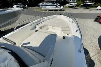 Thumbnail von Boston Whaler 250 Dauntless