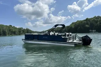 Thumbnail von Sylvan L3 RLZ