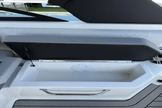 Thumbnail von Sea Ray SDX 270 Dıştan Takma Motor