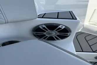 Thumbnail von Sea Ray SDX 270 Dıştan Takma Motor