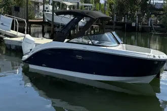 Thumbnail von Sea Ray SDX 270 Dıştan Takma Motor