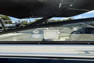 Thumbnail von Sea Ray SDX 270 Dıştan Takma Motor