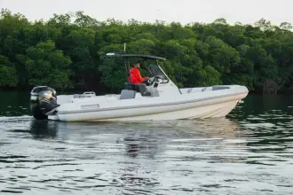 Thumbnail von Northstar Orion 8