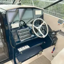 Thumbnail von Pursuit 365I SC