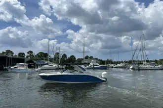 Thumbnail von Sea Ray SDX 230 Außenborder