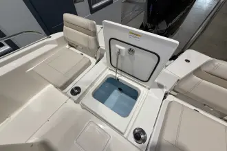 Thumbnail von Boston Whaler 250 Dauntless