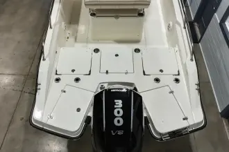 Thumbnail von Boston Whaler 250 Dauntless