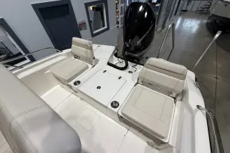 Thumbnail von Boston Whaler 250 Dauntless