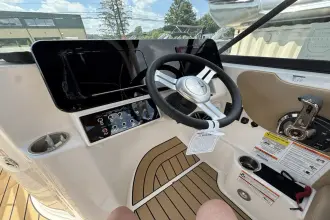 Thumbnail von Sea Ray SDX 250