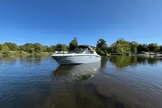 Thumbnail von Sea Ray SDX 250