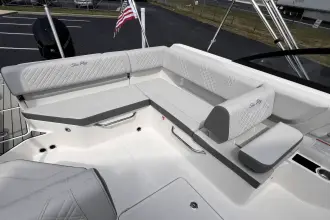 Thumbnail von Sea Ray SDX 230 Hors-bord