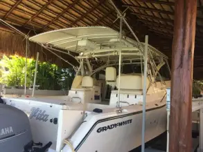 Thumbnail von Grady White Express 360  BONA VITA